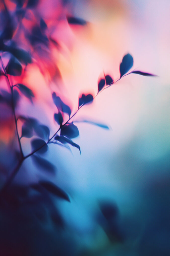 Blume