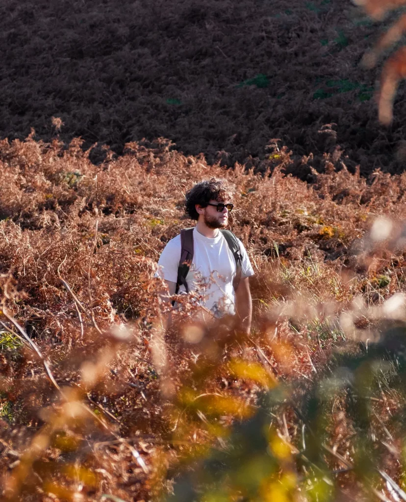 Romain Guillot | Freelance directeur artistique & graphiste sur Nantes. Identité visuelle, branding food, print, motion.